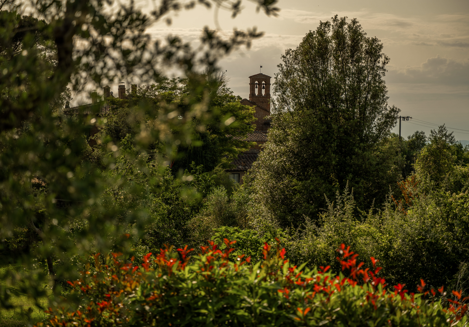 Farbenfroher Garten mit mediterranen Pflanzen und Blick auf die umliegende Natur.