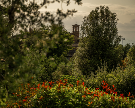 Farbenfroher Garten mit mediterranen Pflanzen und Blick auf die umliegende Natur.