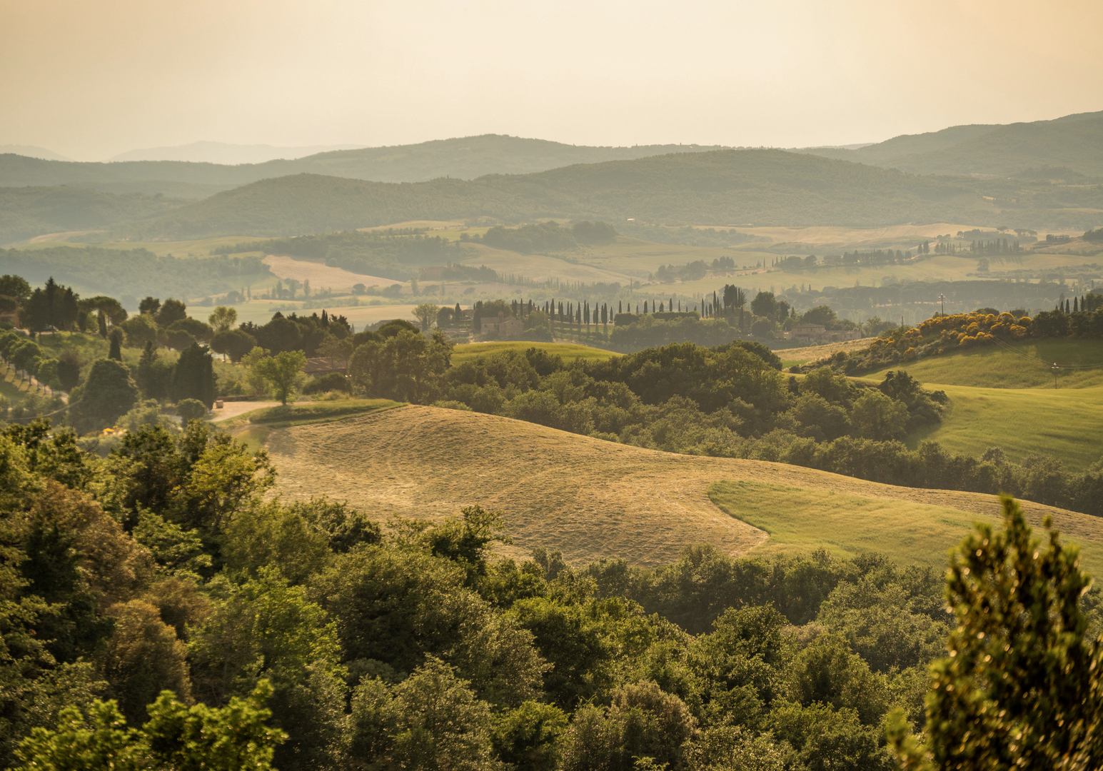 Weite Hügellandschaft mit Feldern, Wäldern und sanften Lichtstimmungen am Horizont.