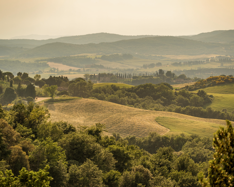 Weite Hügellandschaft mit Feldern, Wäldern und sanften Lichtstimmungen am Horizont.