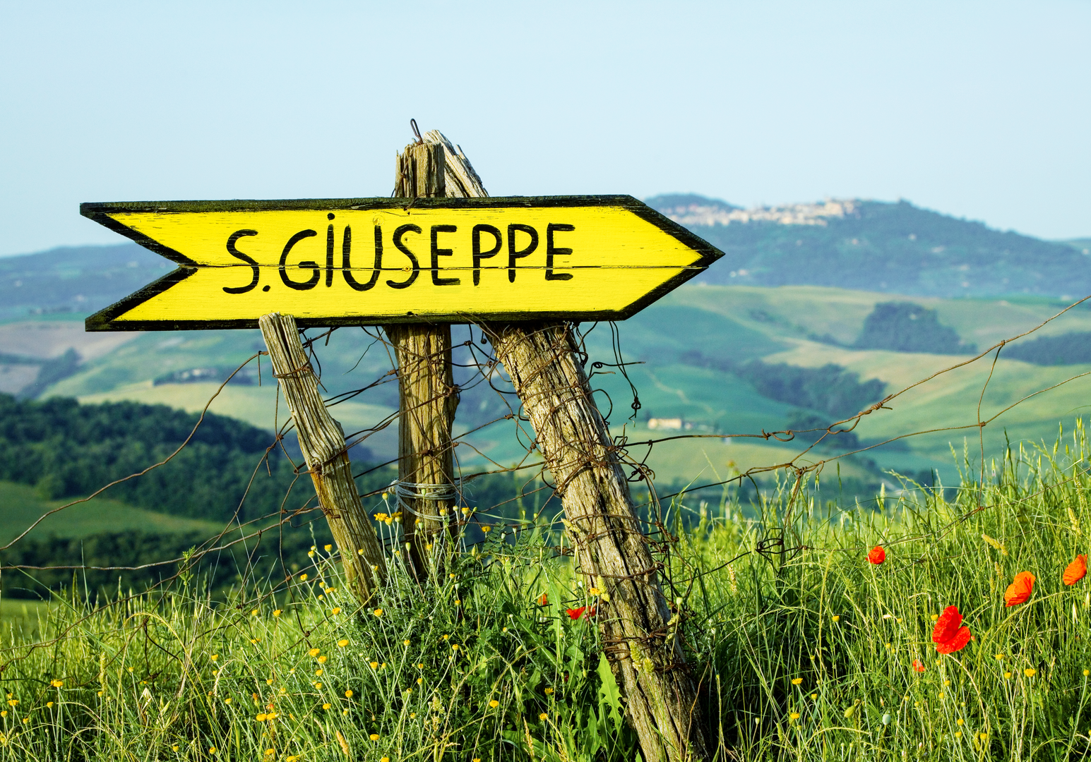 Holzwegweiser vor einer weiten Hügellandschaft mit Feldern und Weinbergen.