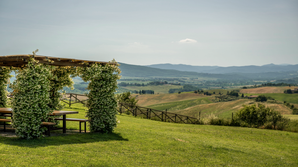Begrünte Pergola mit Sitzbank und weitem Blick über die sanfte Hügellandschaft.