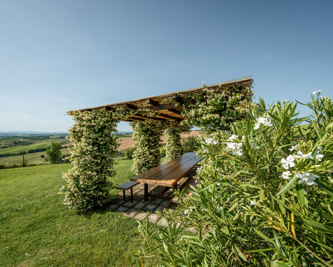 Mit Kletterpflanzen bewachsene Pergola auf einer Wiese mit weitem Ausblick ins Grüne.