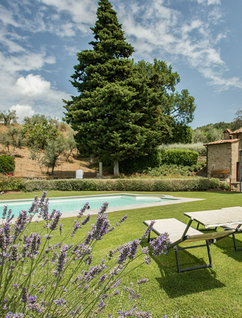 Gepflegter Garten mit Lavendel, alten Bäumen und Sitzgelegenheiten zum Entspannen.