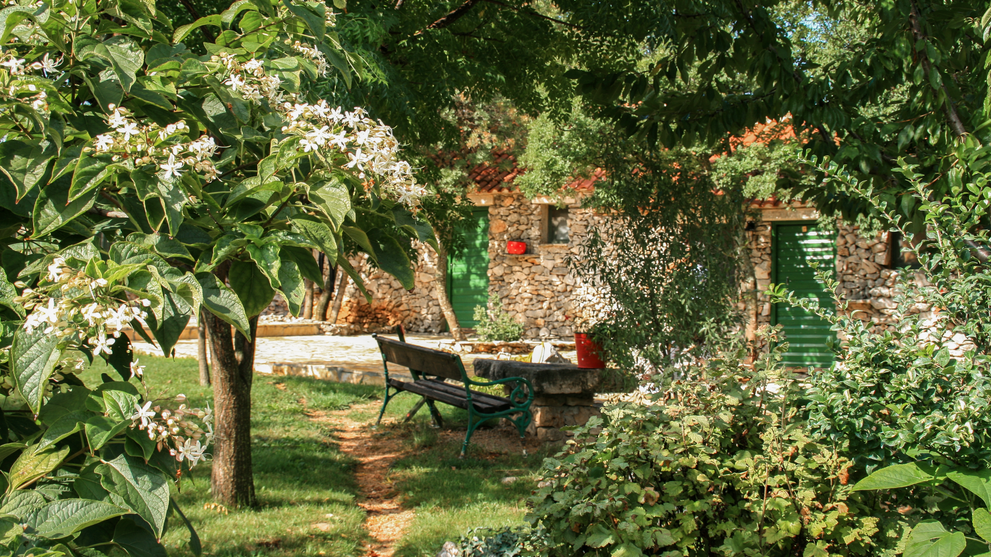 Schattiger Garten mit Sitzgelegenheit unter alten Bäumen.